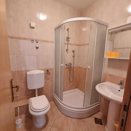 Apartament Luetic *